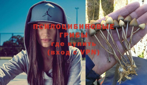 амф Бугульма