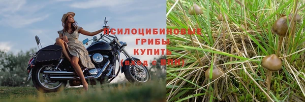 дистиллят марихуана Бородино